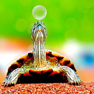 マージンコールとは？お知らせを受け取ってロスカットを防ごう-ガッツリFX