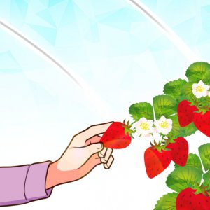イチゴ狩りを楽しむ♪